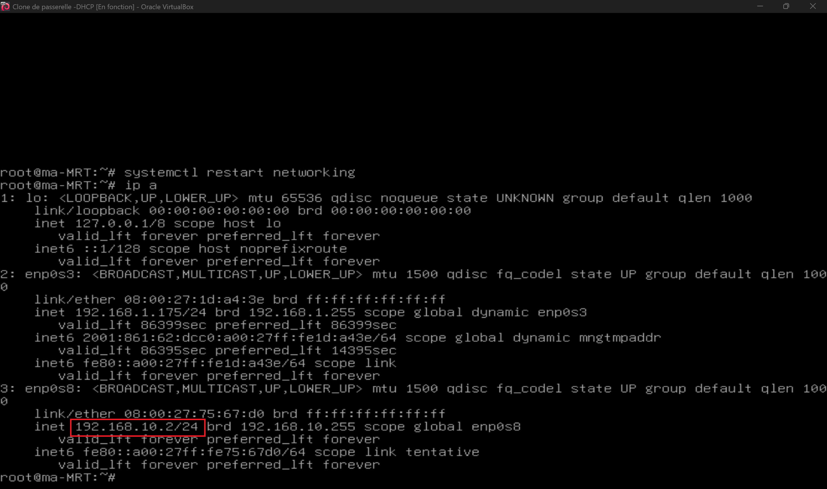 Vérifier la nouvelle adresse IP