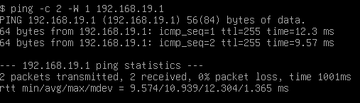Ping de la passerelle depuis VM19