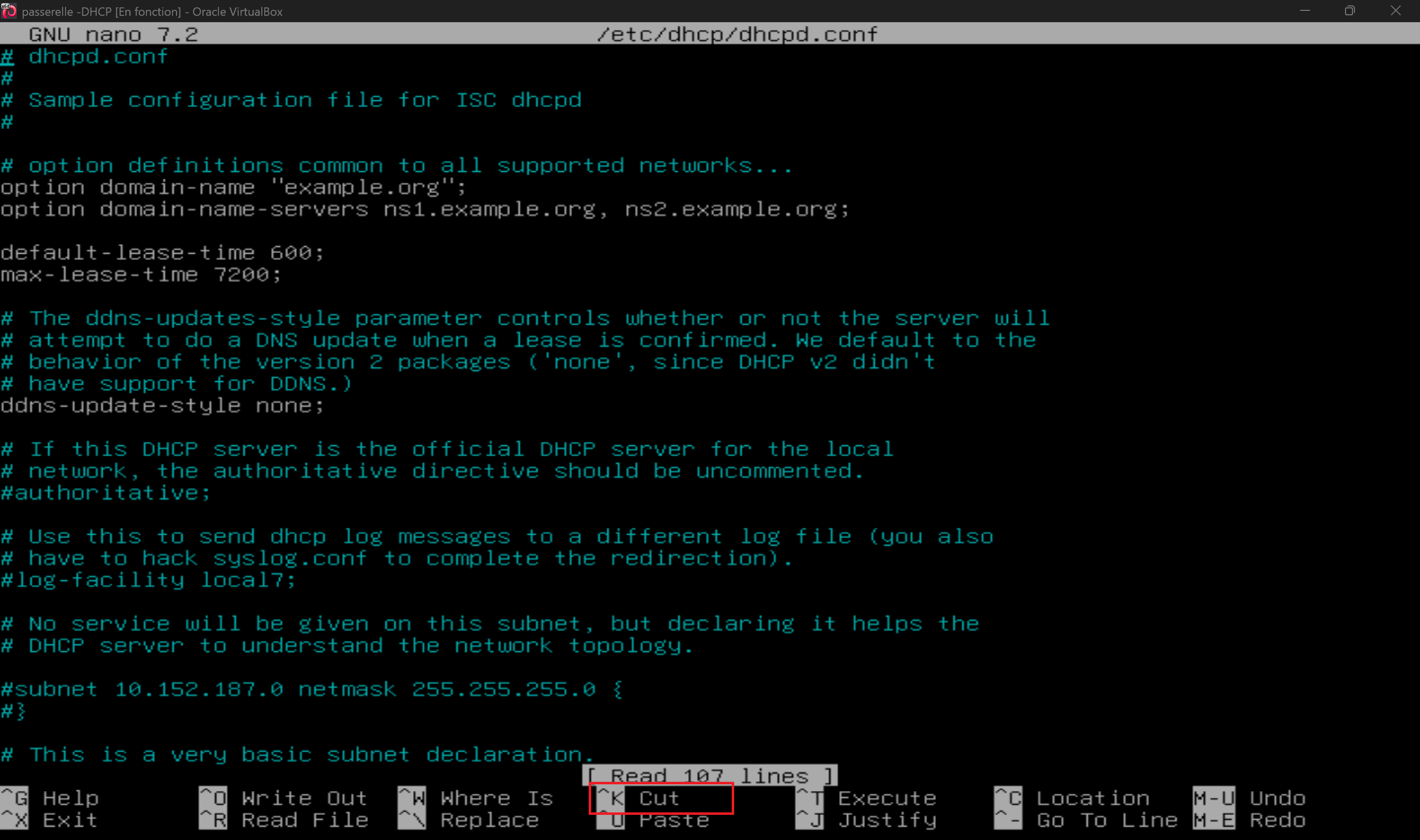 Nettoyage du fichier de configuration
