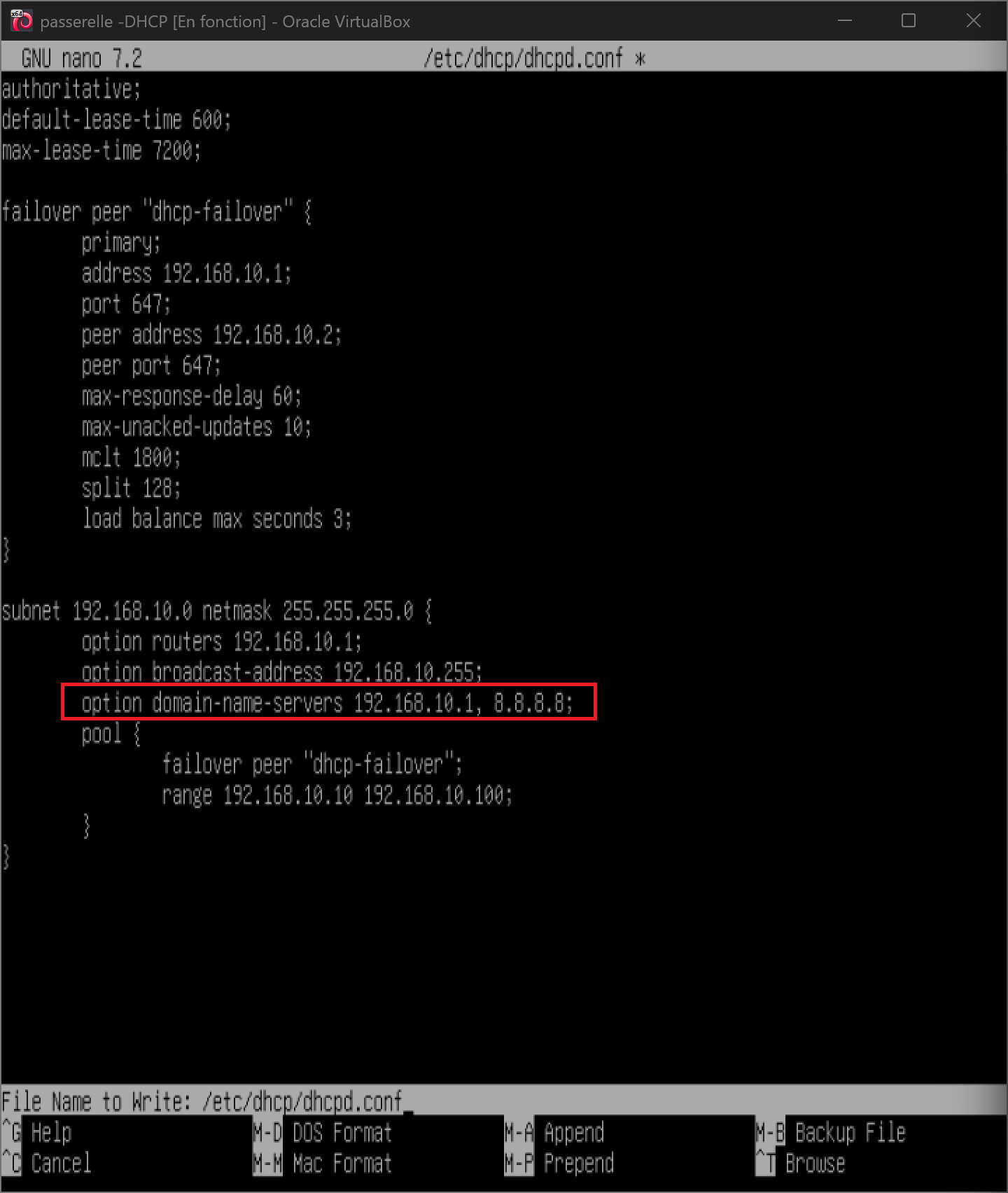 Configuration de l'option DNS